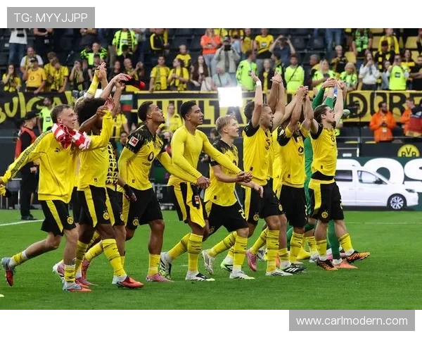 德甲球队实力排名及体育竞技综合分析